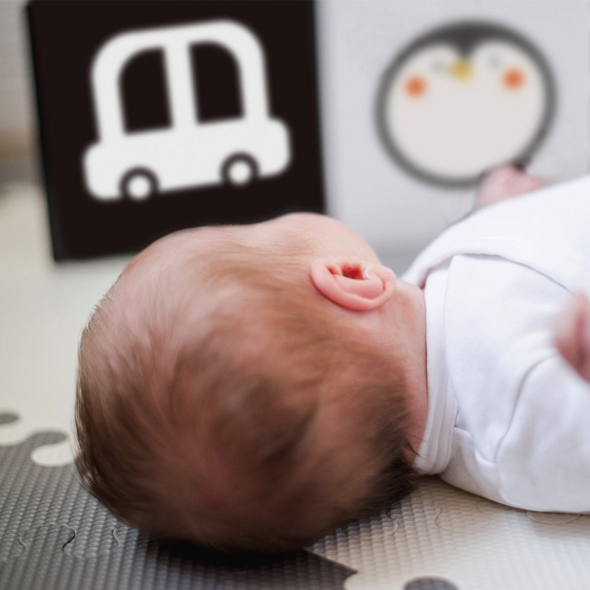 0-6m Educational Box---TK750