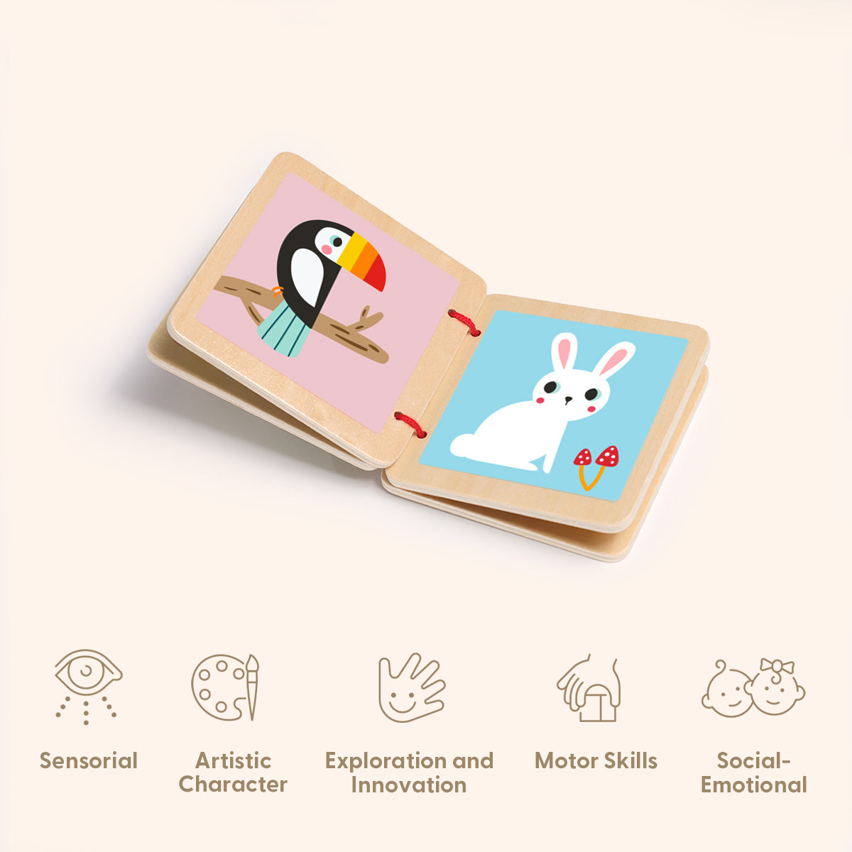 7-12m Educational Box---TK751