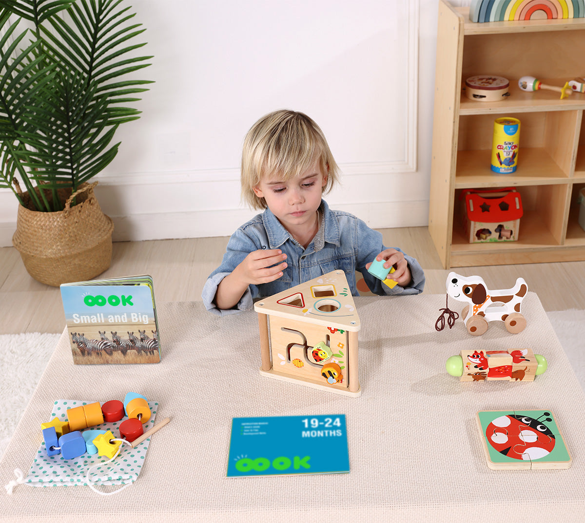 19-24m Educational Box---TK753