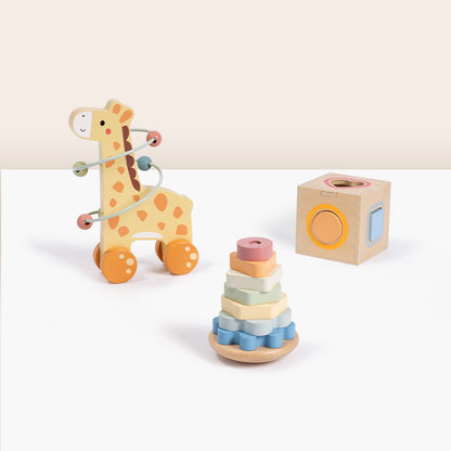 3 In 1 Box - Giraffe---TP521